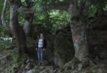 Фото: Youtube printscreen