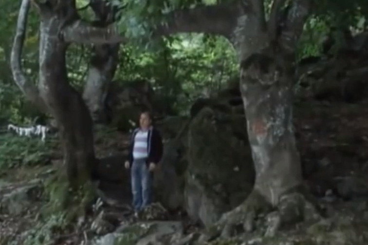 Фото: Youtube printscreen Фото: Youtube printscreen