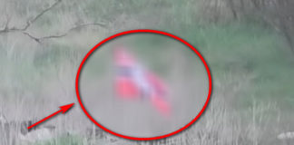 Фото: Youtube printscreen