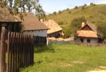 АЛАРМАНТНО: Податак који „ЛЕДИ КРВ У ЖИЛАМА“