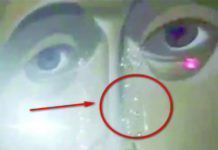 Фото: Printscreen