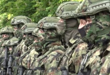 СРПСКА ВОЈСКА, А НЕ ВОЈСКА СРБИЈЕ! Српска десница захтева од надлежних да усвоје промену постојећих имена државних институција Фото: Youtube printscreen