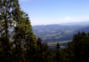 Фото: Youtube printscreen