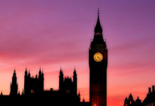 Фото: Pixabay