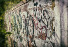 Фото: Pixabay