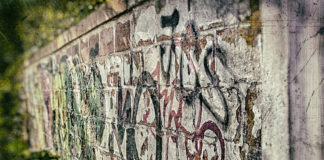 Фото: Pixabay