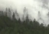 Фото: Youtube printscreen