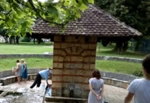 СВЕ ЈЕ ЛАКО КАД СИ ПОСЛАНИК: Пензионерима партије се одобравају “виђеније“ бање Фото: Youtube printscreen