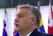 ДРУГА ЕРА ВИКТОРА ОРБАНА: Каква је перспектива српско-мађарских односа? Фото: Youtube printscreen