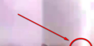 Фото: Twitter video printscreen