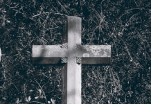 Фото: Pixabay