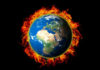 Фото: Pixabay