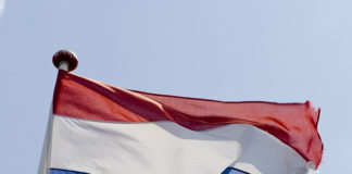 Фото: Pixabay