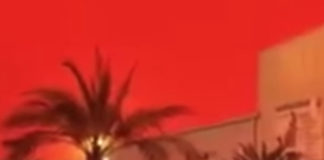 Фото: Youtube printscreen