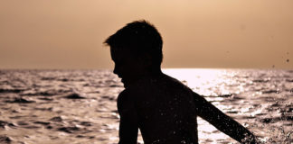 Фото: Pixabay