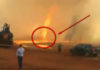Фото: Twitter video printscreen