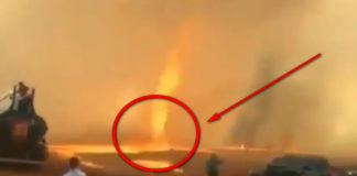Фото: Twitter video printscreen