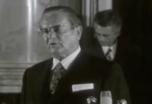 СРПСKИ ИСТОРИЧАР: Југославија је пропала јер је грађена на лажима – ОВО ЈЕ ИСТИНА О СРБИМА И СРБИЈИ