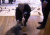 Фото: Youtube printscreen