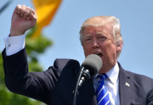 ТРАМП ПРЕСЕКАО: Највећа мрзитељка Срба иде у затвор?! Фото: Pixabay