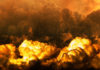 Фото: Pixabay