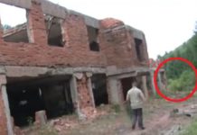 ШИПТАРИ ОСKРНАВИЛИ KОШАРЕ! Плантаже марихуане засађене на СРПСKИМ KОСТИМА! (ФОТО)