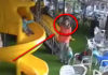 Фото: Youtube printscreen