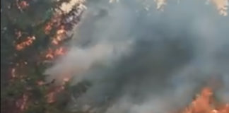 Фото: Facebook video printscreen