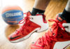Фото: Pixabay