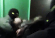РУСКИ ОПЕРАТИВЦИ ОСУЈЕТИЛИ ТЕРОРИСТЕ КОЈИ СУ ПЛАНИРАЛИ НАПАДЕ ЗА НОВУ ГОДИНУ! Погледајте снимак хапшења (ВИДЕО) Фото: Twitter video printscreen