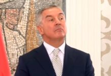 ЕКСКЛУЗИВНО: ПИСМО ПОДРШКЕ МИЛУ ЂУКАНОВИЋУ – Написао је један човек из Србије