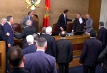 ЦРНОГОРСКА ОПОЗИЦИЈА – ИЗМЕЂУ ИЗБОРА И ПОПИСА