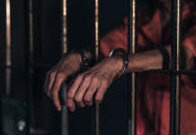 Фото: stocksnap.io