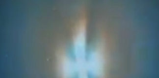 Фото: Twitter video printscreen