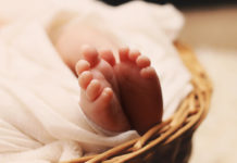 Фото: Pixabay