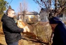 “ВИ СТЕ ДАЛИ ВЕЛИКУ ЖРТВУ!“ Миша Вацић Божић провео са мајкама које су изгубиле синове на Косову Фото: instagram.com/misavacic