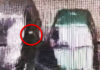 Фото: Twitter video printscreen