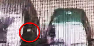 Фото: Twitter video printscreen