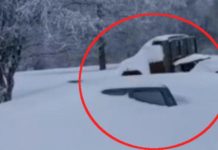 Ово је ХЕРОЈ СРБИЈЕ ВОЈО који се изборио са СМЕТОВИМА: Мештани Сјенице чинили ЧУДА спасавајући ЗАВЕЈАНЕ! (ВИДЕО/ФОТО)