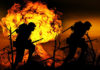 Фото: Pixabay