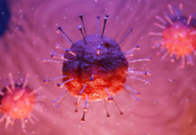 Фото: Pixabay