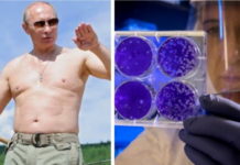 ПУТИНОВА СТРАТЕГИЈА НАЈБОЉЕ РЕШЕЊЕ ЗА KОРОНАВИРУС: Русија зауставила масовно ширење, а тајна је у овоме