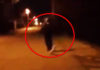 Фото: Twitter video printscreen