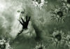 Фото: Pixabay