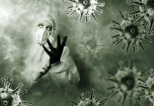 Фото: Pixabay