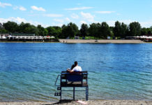 Фото: Pixabay