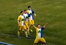 КАНАРИНЦИ НА ВРХУ: Србијо, спреми се за шампионе! Фото: Youtube printscreen
