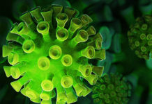 Фото: Pixabay