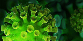 Фото: Pixabay