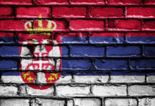 КАКО СЕ ПРЕКО НОЋИ ПОСТАЈЕ ИКОНА КВАЗИЕЛИТЕ У СРБИЈИ? Фото: Pixabay